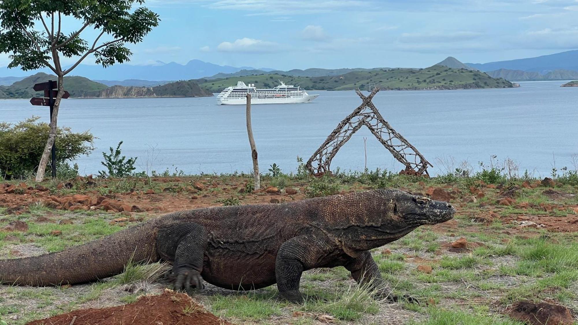Jhuna Komodo Homestay Zewnętrze zdjęcie